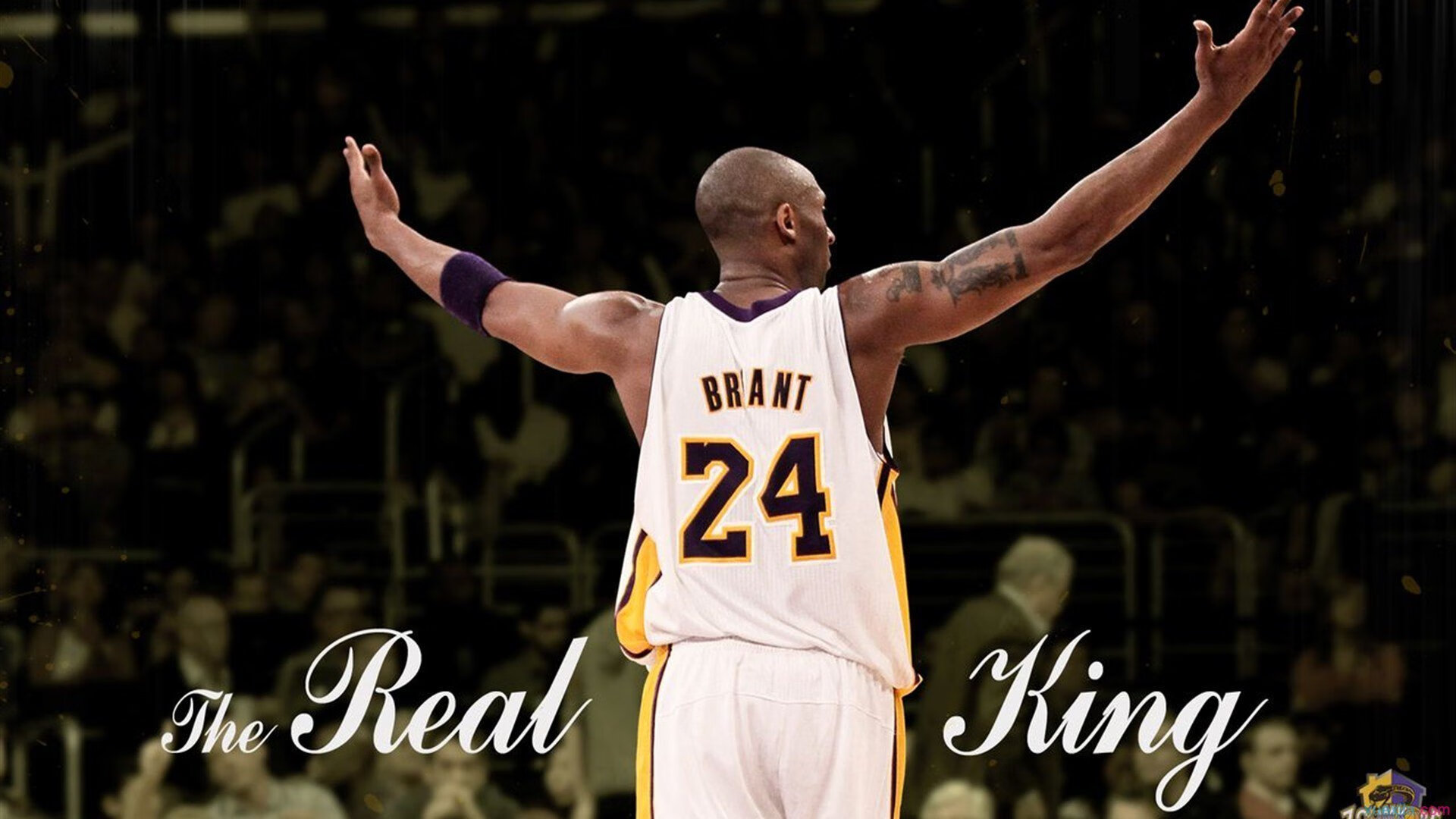 最强门将排行榜曝光